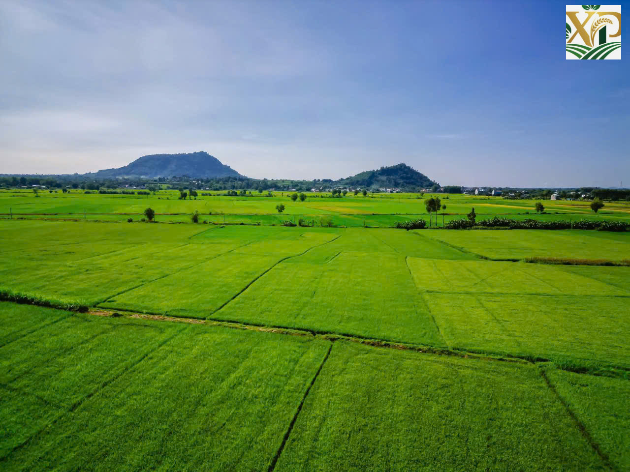 XUÂN PHÚ – ĐIỂM ĐẾN DU LỊCH XANH,  BÌNH YÊN VÀ TRẢI NGHIỆM