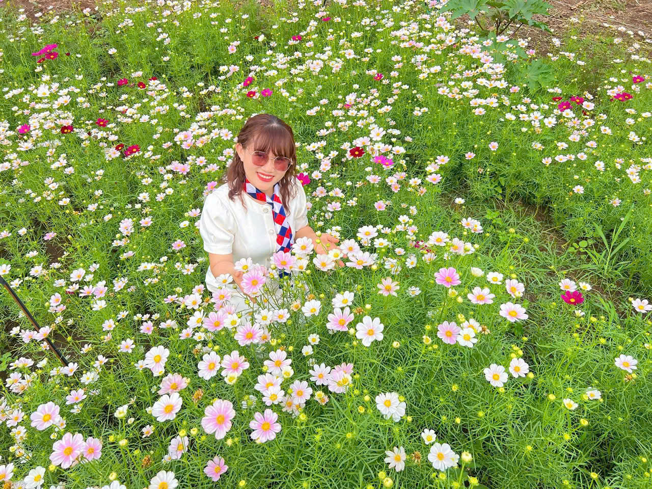 Vườn hoa sao nhái ấp Bình Xuân 1 – Điểm đến mới trong dịp Tết tại xã Xuân Phú