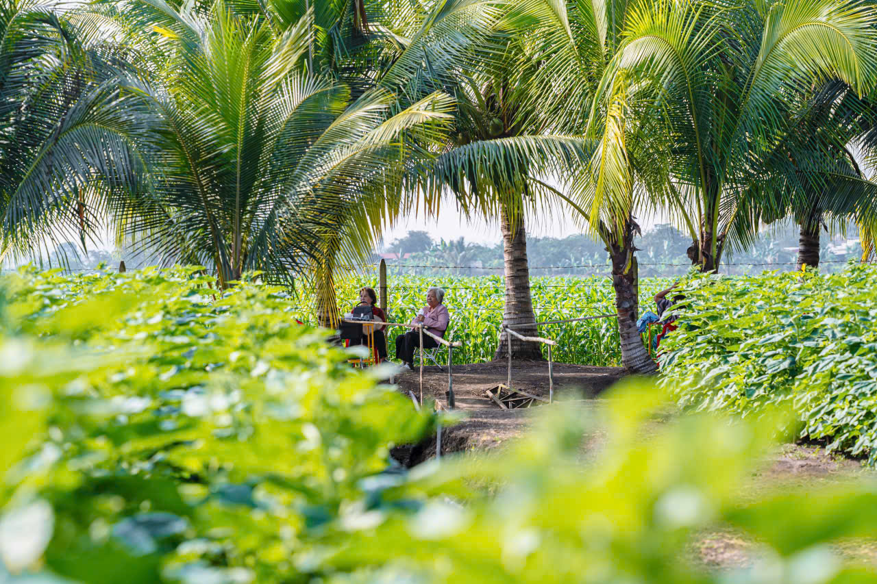 z7524157522177 279b59447a97dde58b269da60a2b24c4