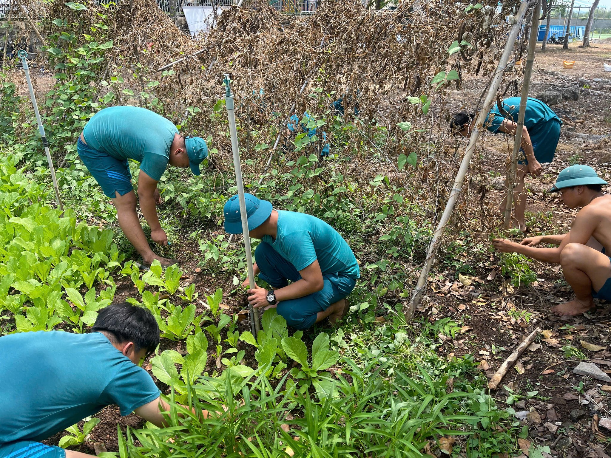 672042246 957089127061372 511021801084351603 n