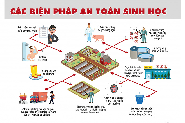 https://nhachannuoi.vn/wp-content/uploads/2022/01/chan-nuoi-lon-an-toan-sinh-hoc.jpg
