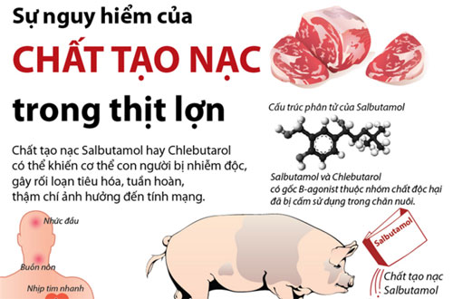 Đưa chất tạo nạc vào danh mục thuốc cần kiểm soát đặc biệt